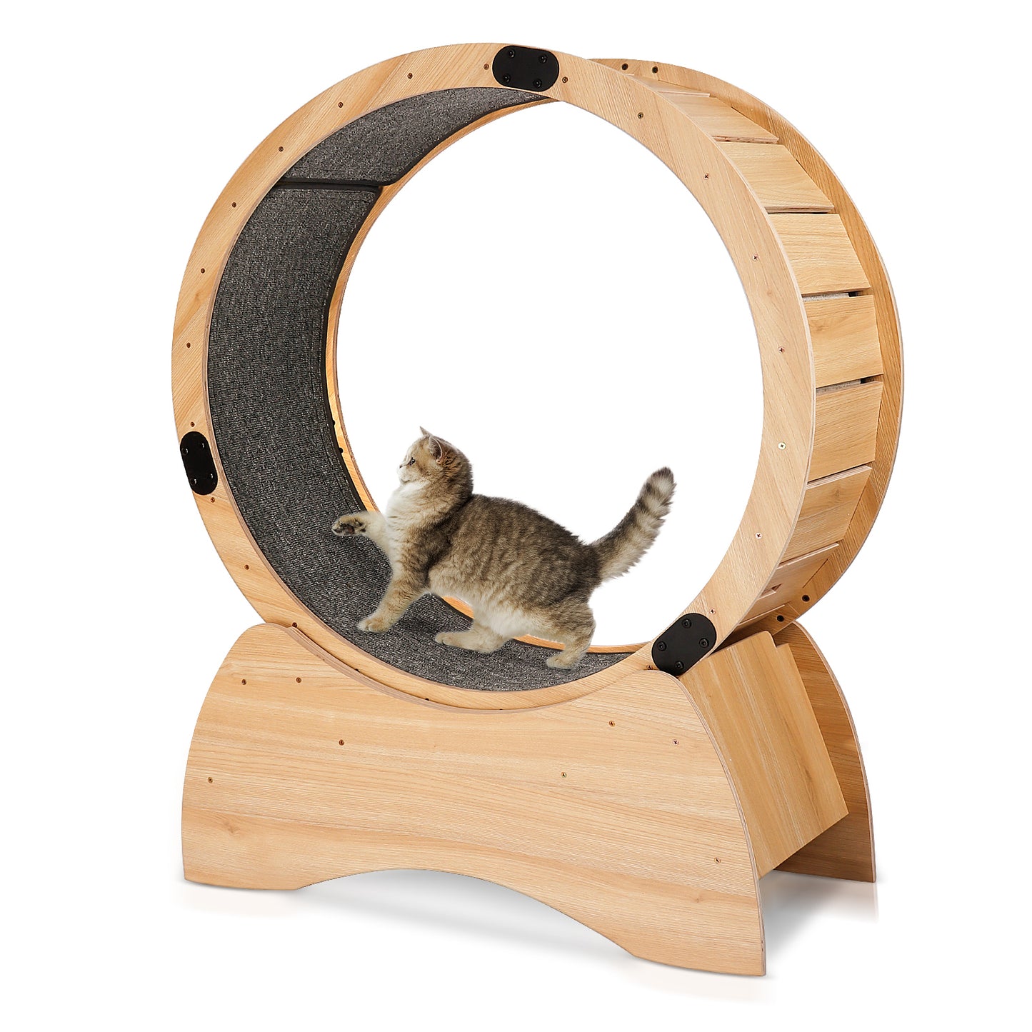 Cat Exercise Wheel – Running, Spinning, and Scratching Fun, Cat Treadmill with Carpeted Runway, Kitty Cat Sport Toy, Great for Physical Activity and Reducing Boredom